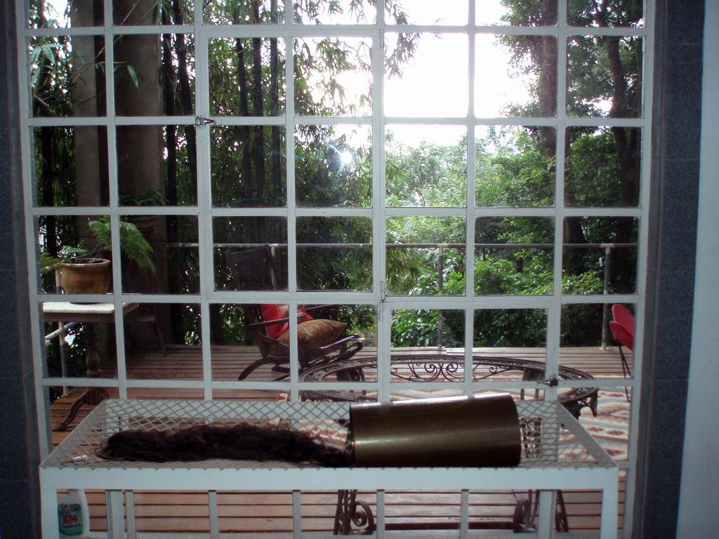 B&B Vitoria Regia Rio de Janeiro Rom bilde