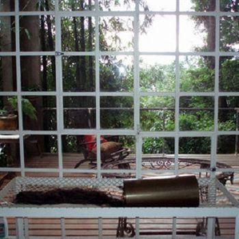 B&B Vitoria Regia Rio de Janeiro Eksteriør bilde